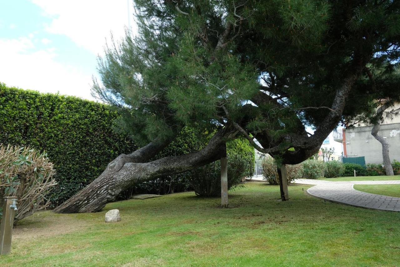 Invento Bnb Unconventional Maison Civitanova Marche Eksteriør bilde